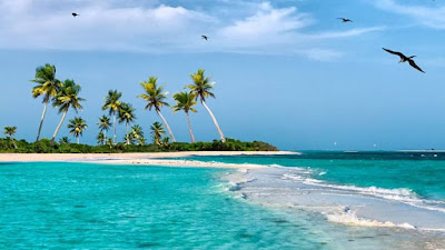 Yammine El Parque Nacional Archipiélago de Los Roques y sus problemas ambientales 1 Yammine Los Roques y sus problemas ambientales 1